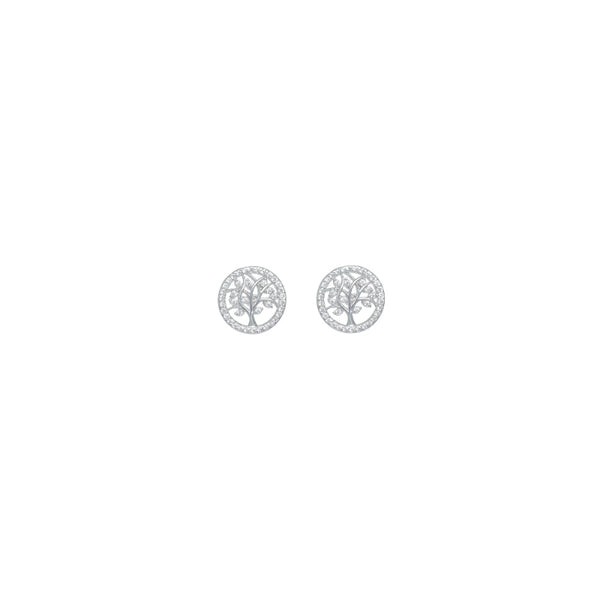 Silver Rooted in Light Earrings