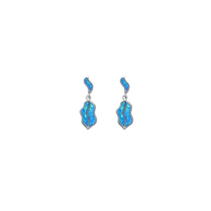 Silver Elegant Blue Opal Drop Earrings - tassyasilver.com